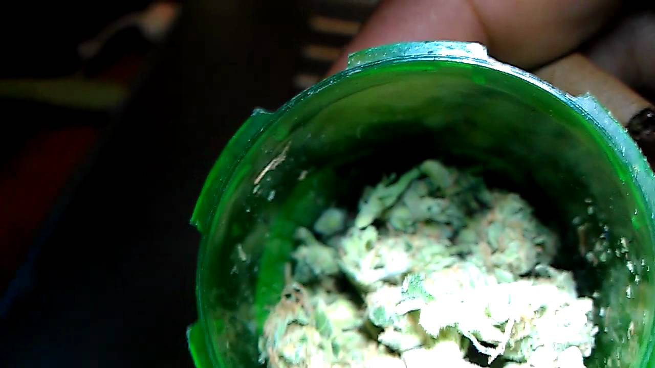 strain review: sour diesel smokefatbud420