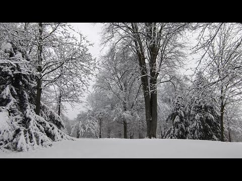 Снег идёт в парке в Бад Хомбурге. Es schneit im Park in Bad Homburg.