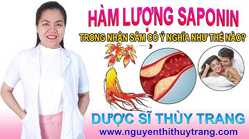 Hàm lượng saponin trong nhân sâm có ý nghĩa gì?