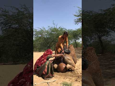 ٱل ف ت اة ٱل ب د و ي ة ت ع ت ن ي ب ج م ل ه ا ف و ق ٱلر ج ال