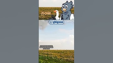 GeoGuessr gone wrong, very wrong | #vtuber #shorts