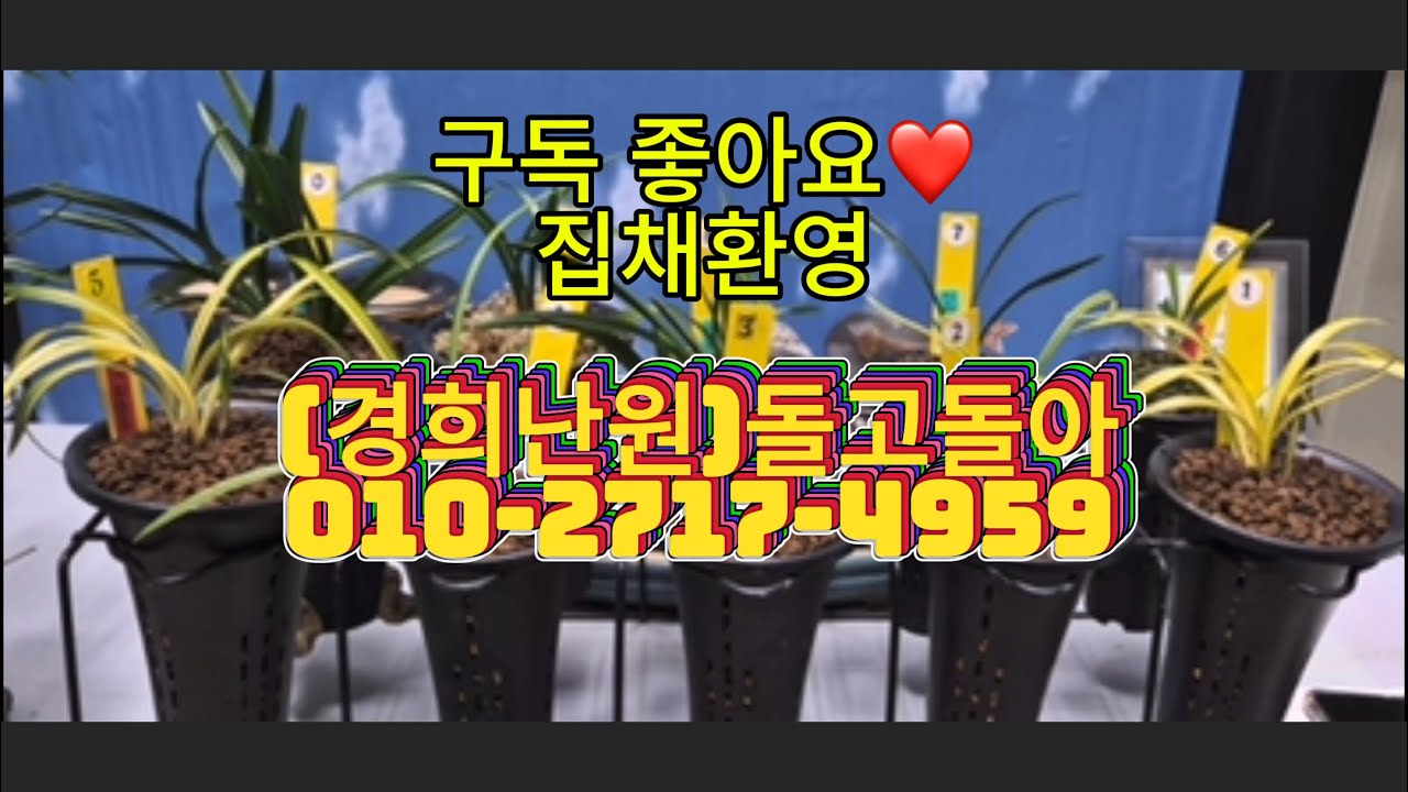 0307 1차 아가씨 금계산반 황룡황두 입변산반호 극황중투 사계 입변산반호 선경 산반단엽 산반단엽 송옥