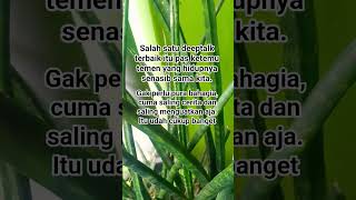 #curahanhati #quotes #quotesrumahtangga #motivasidiri #fypviral