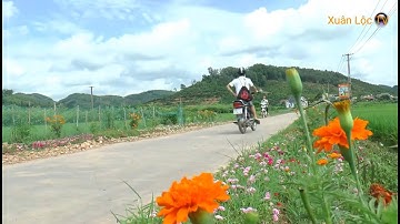 con đường hoa đẹp . thôn đồng man xã biển động . lục ngạn bắc giang 2020