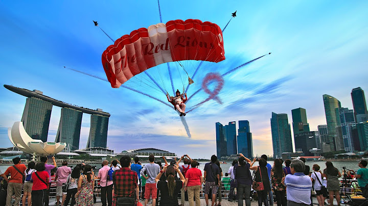 Uniquely Singapore 🇸🇬 Celebrate it 59th NDP 2024