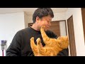 うちの猫可愛すぎて草、超えて森!!