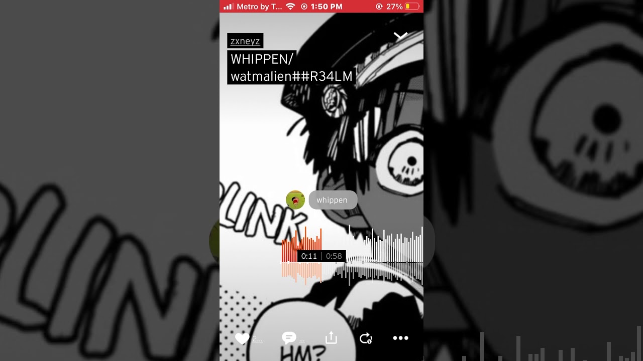 wippen - zxneyz