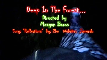 MeaganBaron Class 210 Video Tutorial 2