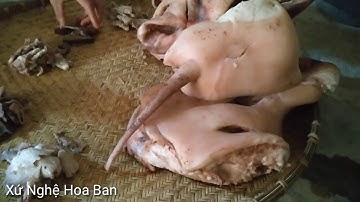 Làm Vía ( ê vắn ) Của Người Thái Quỳ Châu Nghệ An Tập 1 | Xứ Nghệ Hoa Ban