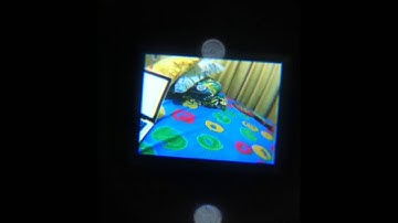 Fatshark Teleporter V4 - Horizon Hobby - DAL 700 TVL - Inside View