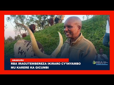 RBA Iragutembereza Ikiraro Cy Inyambo Mu Karere Ka Gicumbi