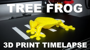3D Print "Growing Effect" Timelapse - Tree Frog
