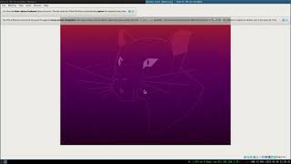 screenshot of the youtube video