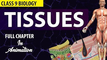 #Tissues Class 9 Full chapter (Animation) | cbse 9  Biology | chapter 6| NCERT  | Gradebooster