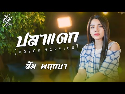 ปลาแดก ส้มพฤกษาCOVERVERSI แฟนบ่ว่าบ้อ ส้ม พฤกษา【COVER VERSION】