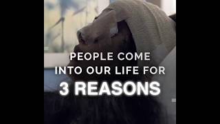 3 Reasons People Come Into Our Life.