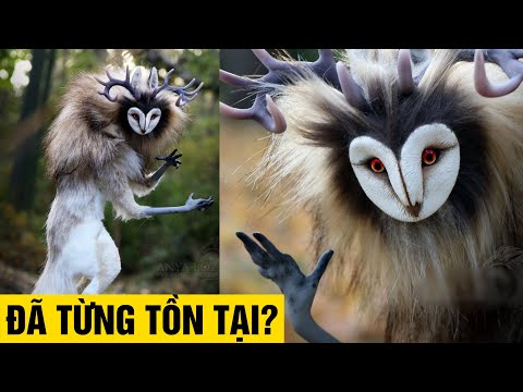 Video: Hành trình sử thi của chú mèo tị nạn sẽ khiến bạn cắt hành tây [Video]