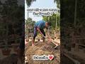 Eto Mati o Hate Kodal Die ki korbo? ❤️ #youtubeshorts #farming #gardening #ytshorts #shortvideo