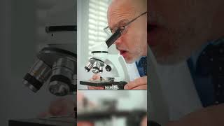 Why Scientists Run Toward Erupting Volcanoes