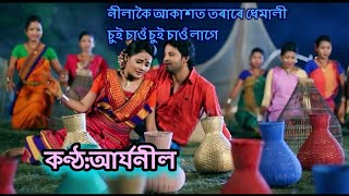 Nilakoi Akaxot Original song ||Aryaneel  || নীলাকৈ আকাশত || আৰ্যনীল || #Aryaneel_Borah #assamesesong screenshot 5