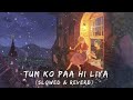 Tum Ko Paa Hi Liya - Tum Ho Pas Mere - Slowed & Reverb - Female Version Mp3 Song