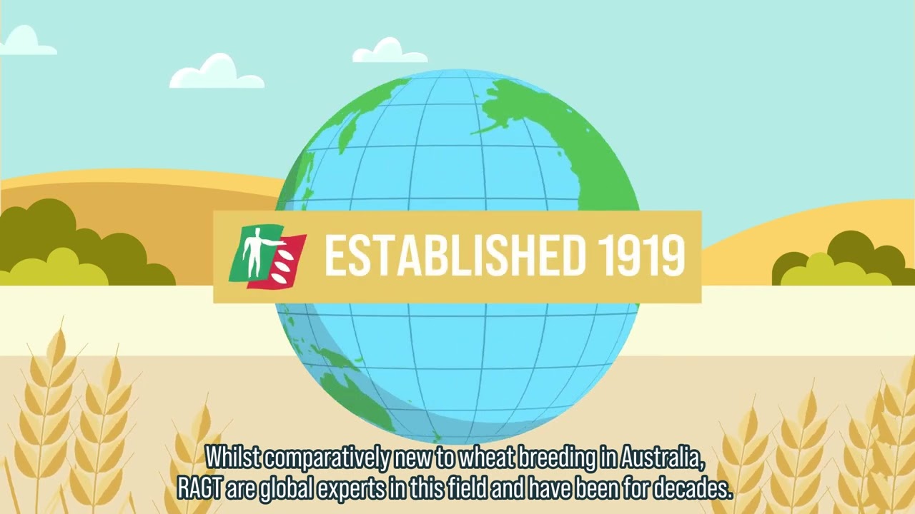 Wheat Diverse Genetics