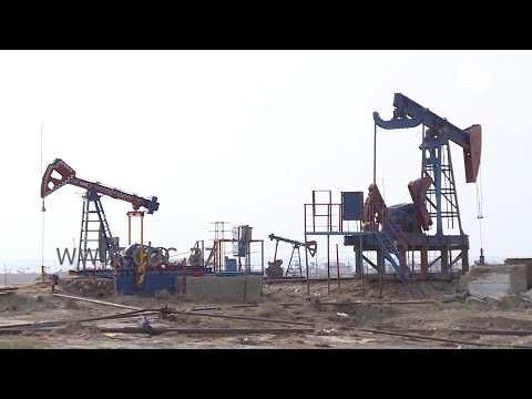 Прогноз по добыче нефти