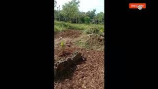 Visiting my AGENDA//BENTONG TV