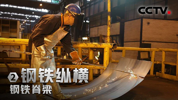救活塞尔维亚百年钢厂！中国向世界贡献中国方案 「钢铁脊梁」第二集 | CCTV财经 - 天天要闻