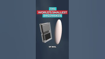 Engineers Just Created the World