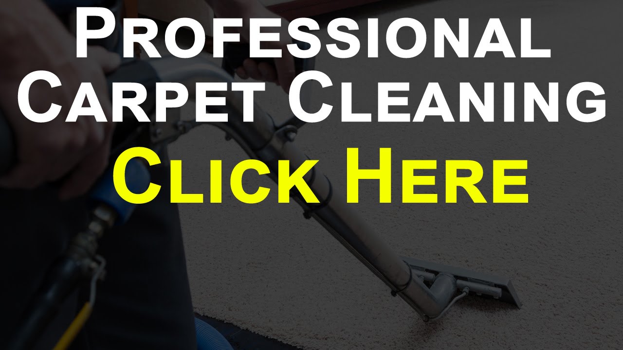 Professional Carpet Cleaning Charlottesville VA YouTube