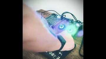 Make Noise Strega Texture 