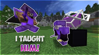 Fiverr Trained me in Minecraft Crystal PVP!