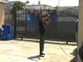 Los Angeles Dog Training | Dog Training (En Español)