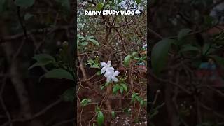 A Day In My Life 🌧 #study #castudentlife #castudents #minivlog #trending