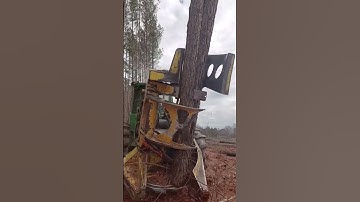 Modern Forestry Machinery: Maximum Efficiency and Speed