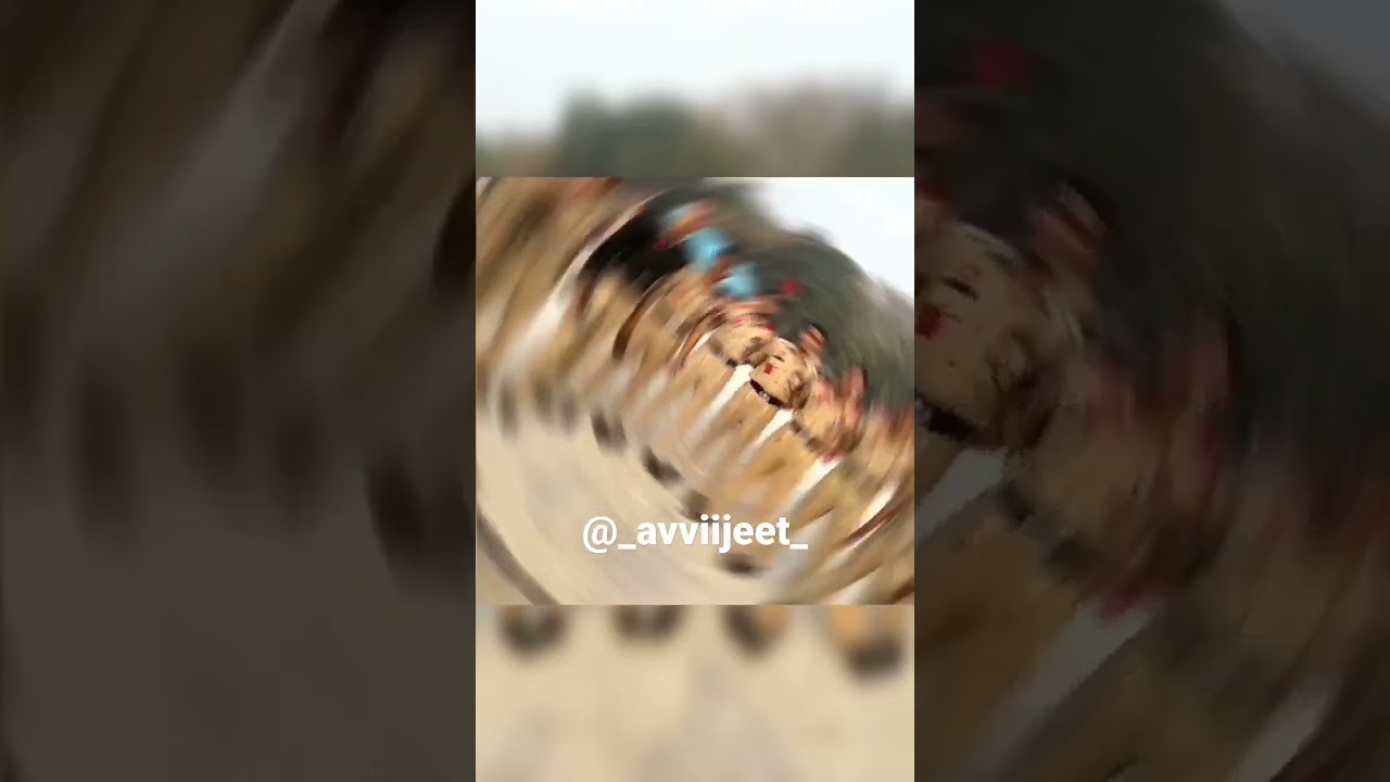 RAJDHANI COLLEGE NCC 3 YEAR 2023 |6DBN