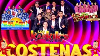 ⚡MIX CUMBIAS COSTEÑAS 2024🎺CUMBIAS PERRONAS MIX🕺🏻✨CUMBIAS PARA BAILAR✨💃🏻LOS KARKIKS, MAR AZUL Y MÁS