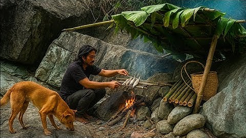 Wild survival, catching fish with hands, cooking, making shelter in the forest, with lulu