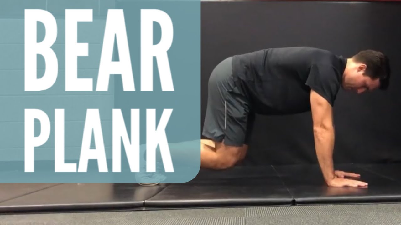 Bear Plank Exercise Demonstration Plank Variation For Beginners YouTube bear-plank-exercise-demonstration-plank-variation-for-beginners-youtube