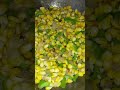 #Tasty corn chat recipe 🌽🌽#odia style #indianfood #youtubeshorts #subscribe ❤️❤️