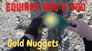 Minelab Equinox 900 Setup For Gold Nuggets & Equinox 800 Comparison