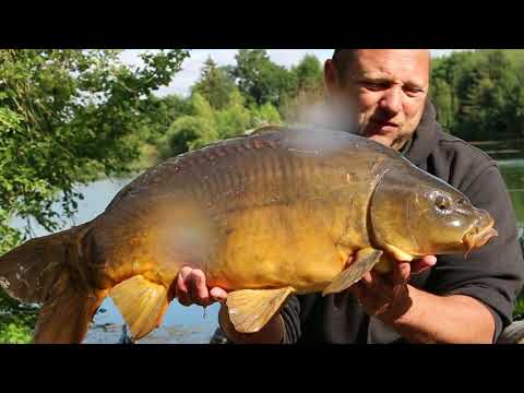 Pêcher la carpe dans la pelouse ! by Carpecanal