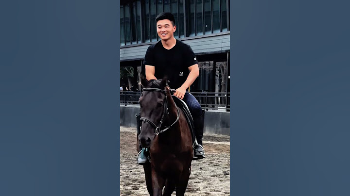 I met a blogger who worked hard #horse