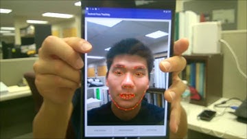 real-time 3D face tracking on mobile device