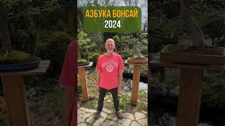 АЗБУКА БОНСАЙ 2024