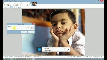 How to blur background image in paint.net (DSLR EFFECT)
