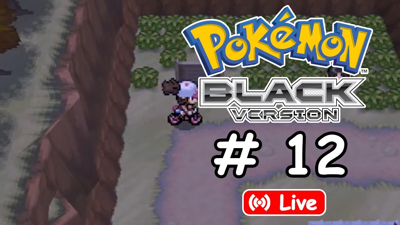 Pokémon Black EP.12 | เก็บเลเวลสู่การต่อสู้กับอาเด็ค!!!