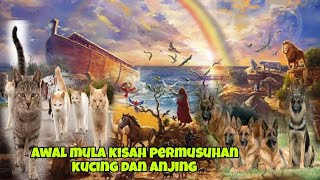 Awal mula kisah permusuhan kucing dan anjing pada zaman nabi Nuh AS
