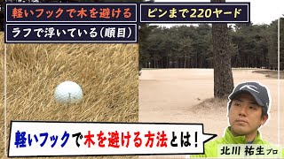 【コースで解説⑤】ゴルフ場あるある！目の前に「木」！！こんな時、どう打つ？＜全6話＞